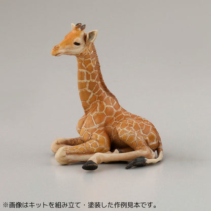 ARTPLA 飼育員與小猩猩套裝 (1盒6入)