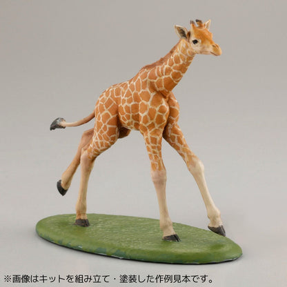 ARTPLA 飼育員與小猩猩套裝 (1盒6入)