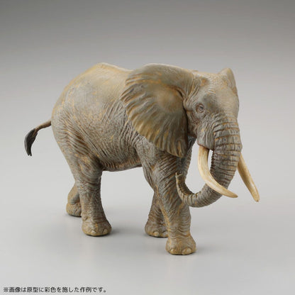 ARTPLA 遊客與非洲象套裝
