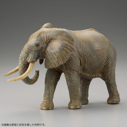 ARTPLA 遊客與非洲象套裝