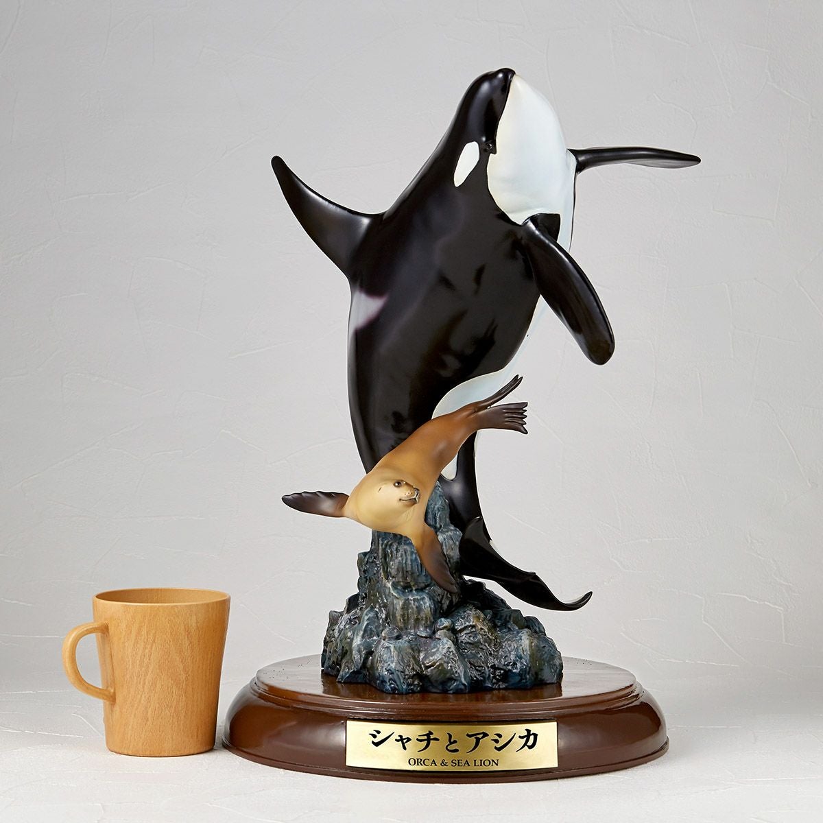 NATURE TALES 虎鯨與海獅
