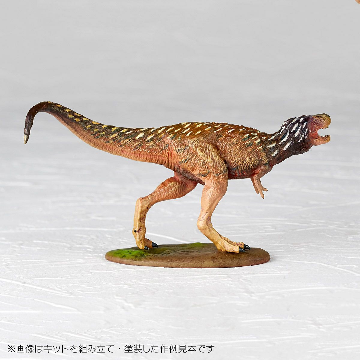 ARTPLA 研究員與暴龍套裝