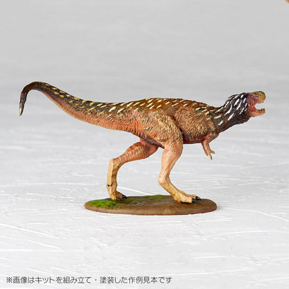 ARTPLA 研究員與暴龍套裝