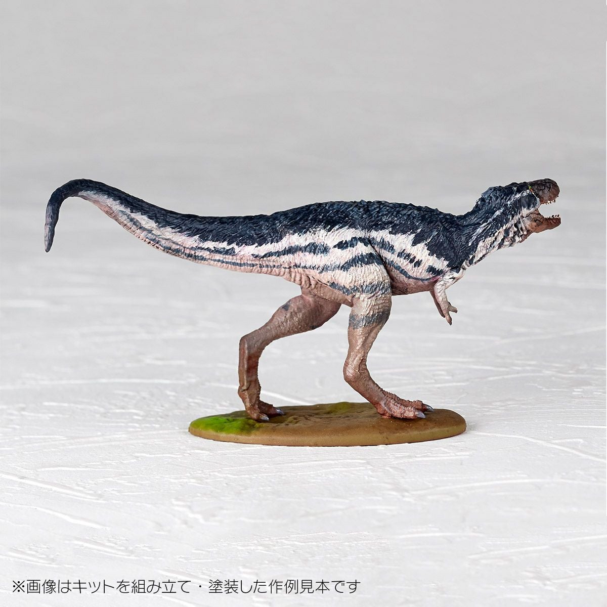 ARTPLA 研究員與暴龍套裝