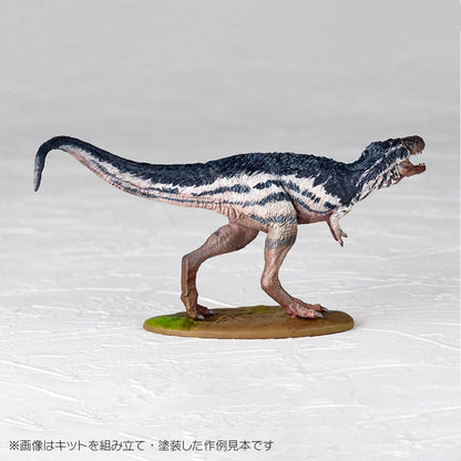 ARTPLA 研究員與暴龍套裝