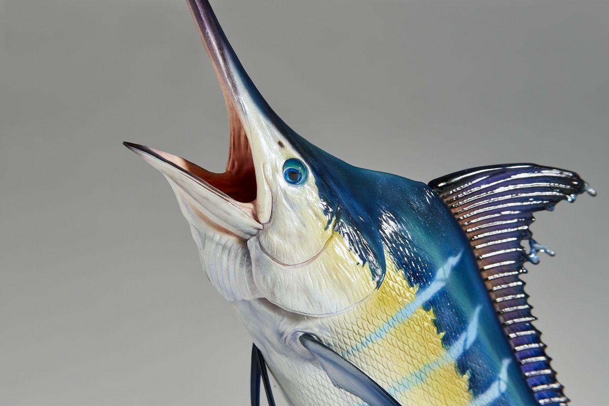 NATURE TALES Black Marlin