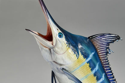 NATURE TALES Black Marlin