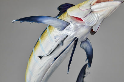 NATURE TALES Black Marlin