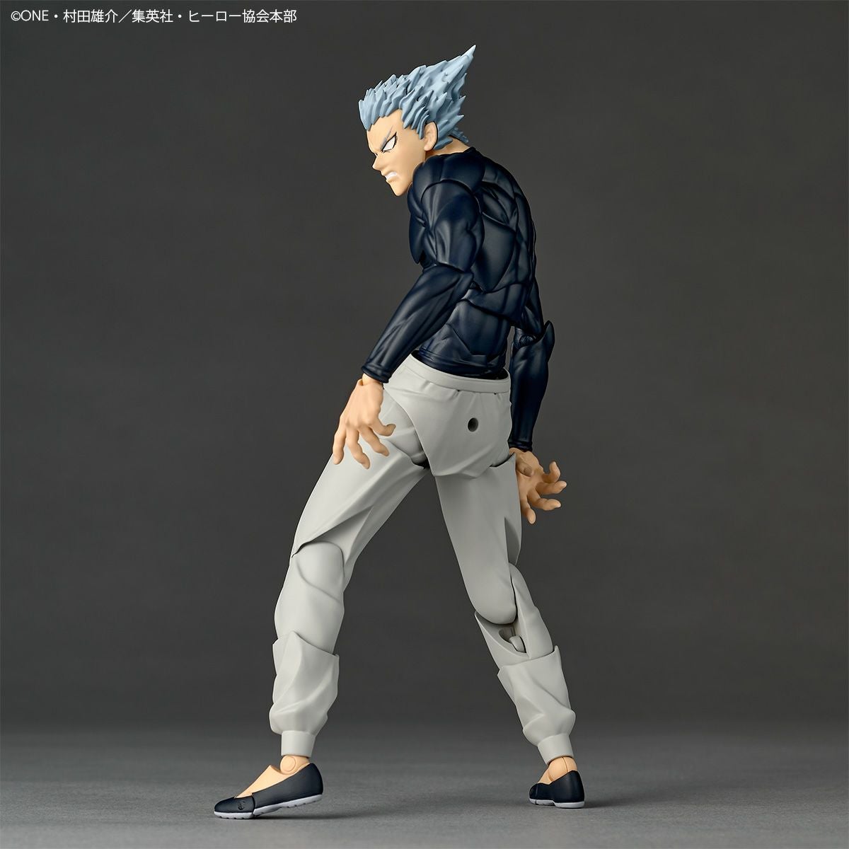 Revoltech Amazing Yamaguchi 餓狼