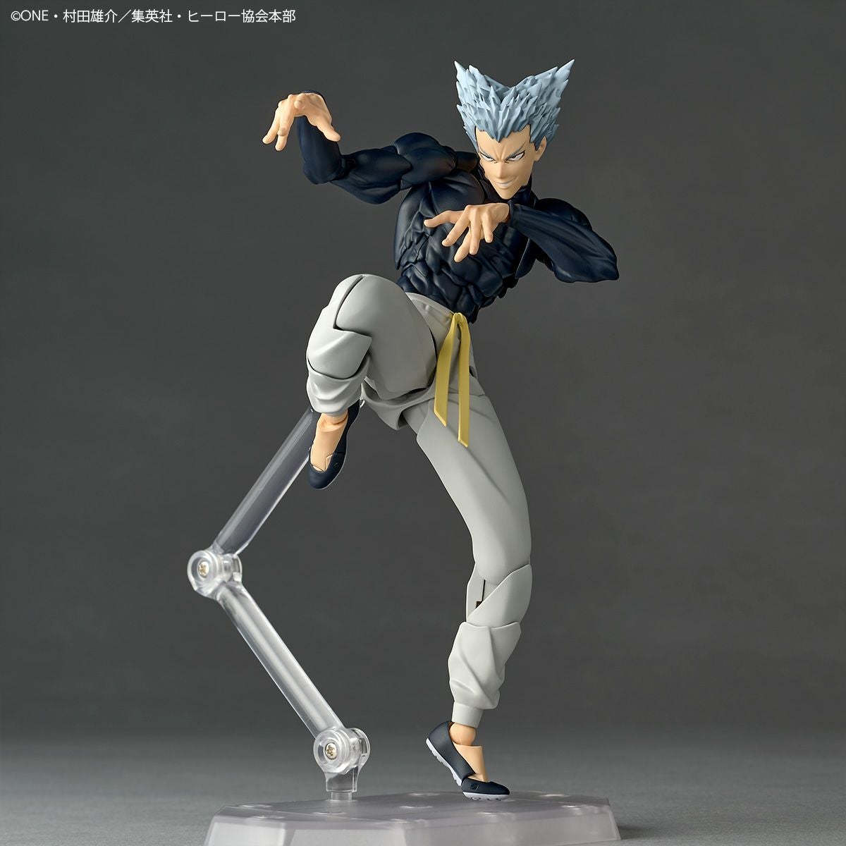 Revoltech Amazing Yamaguchi 餓狼
