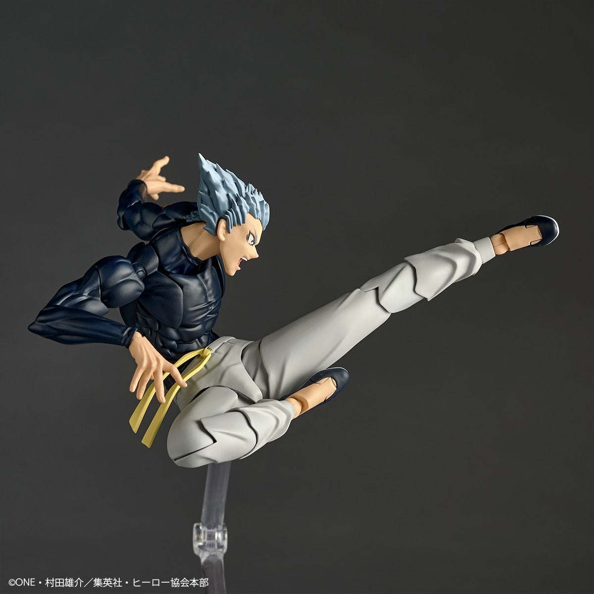 Revoltech Amazing Yamaguchi 餓狼