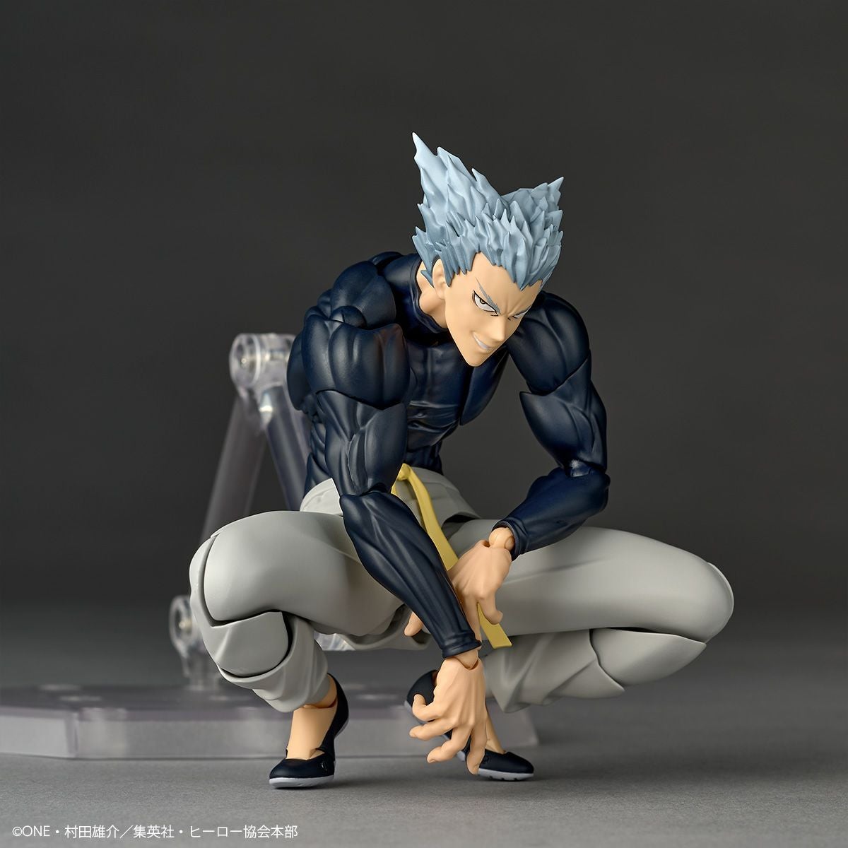 Revoltech Amazing Yamaguchi 餓狼