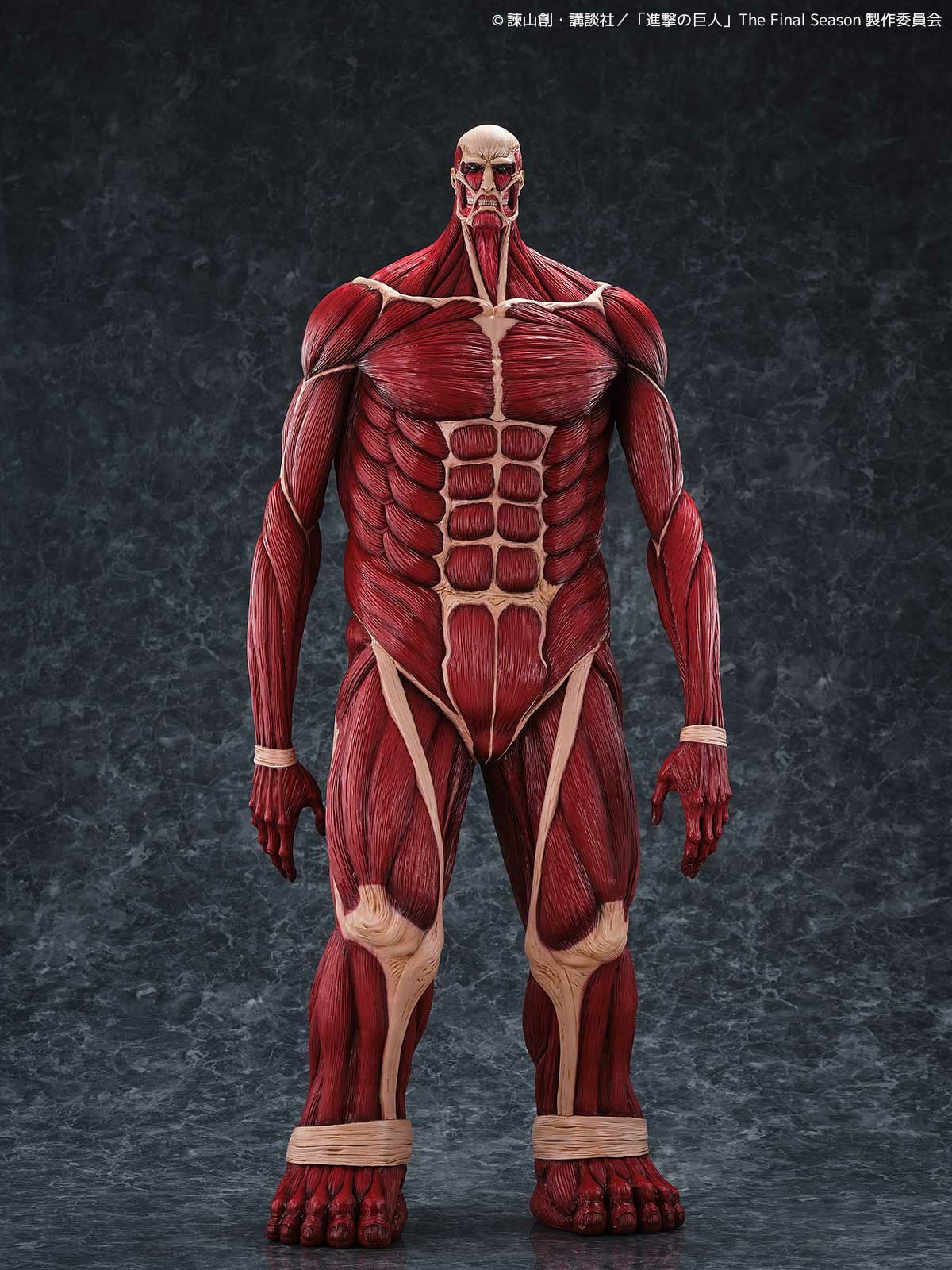 Mega Sofubi Colossal Titan