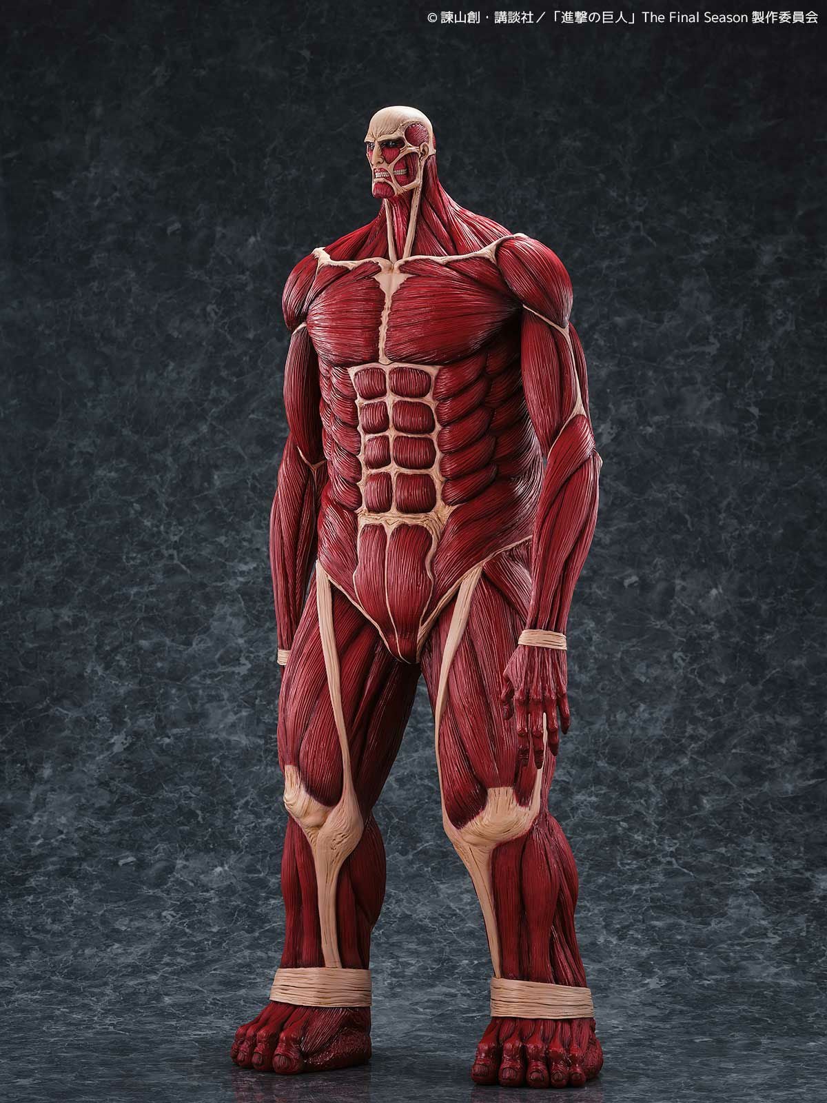 Mega Sofubi Colossal Titan