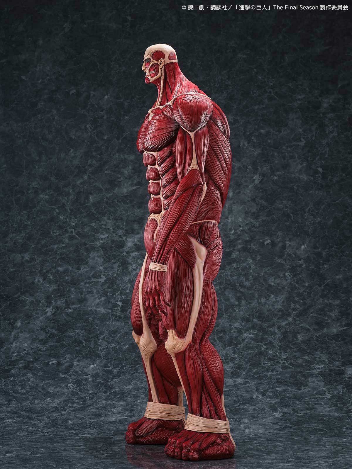 Mega Sofubi Colossal Titan