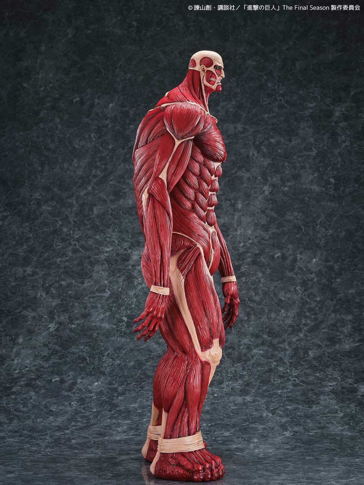 Mega Sofubi Colossal Titan