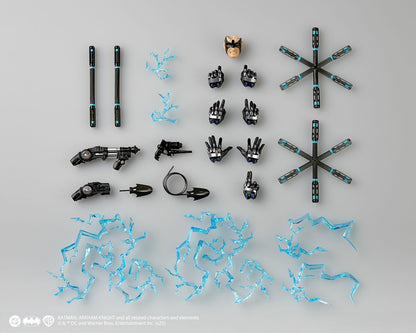 Revoltech Amazing Yamaguchi Nightwing
