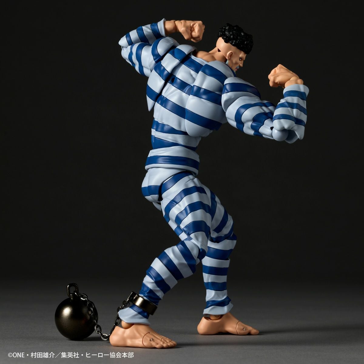 Revoltech Amazing Yamaguchi 囚犯索尼克