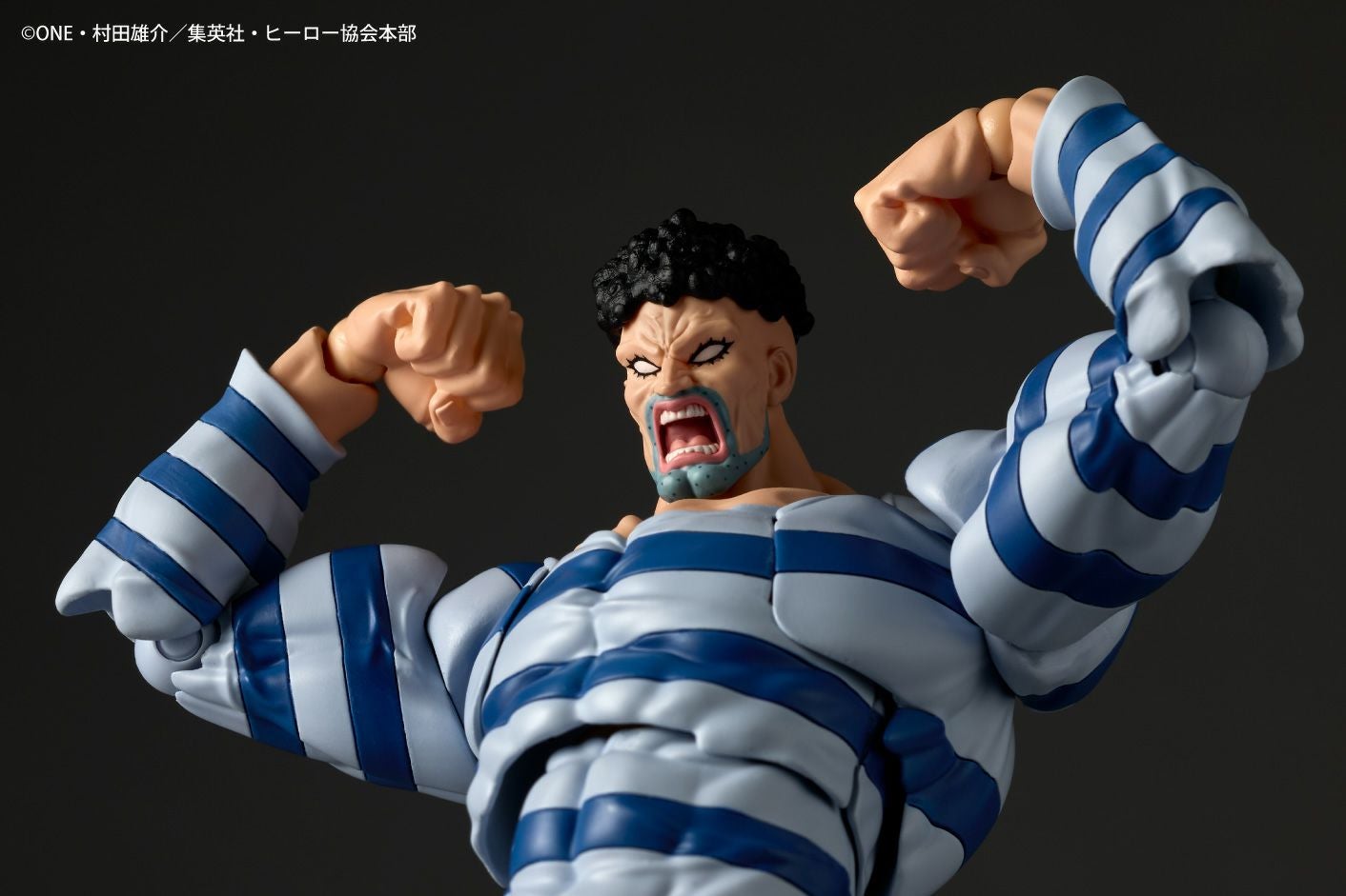 Revoltech Amazing Yamaguchi 囚犯索尼克