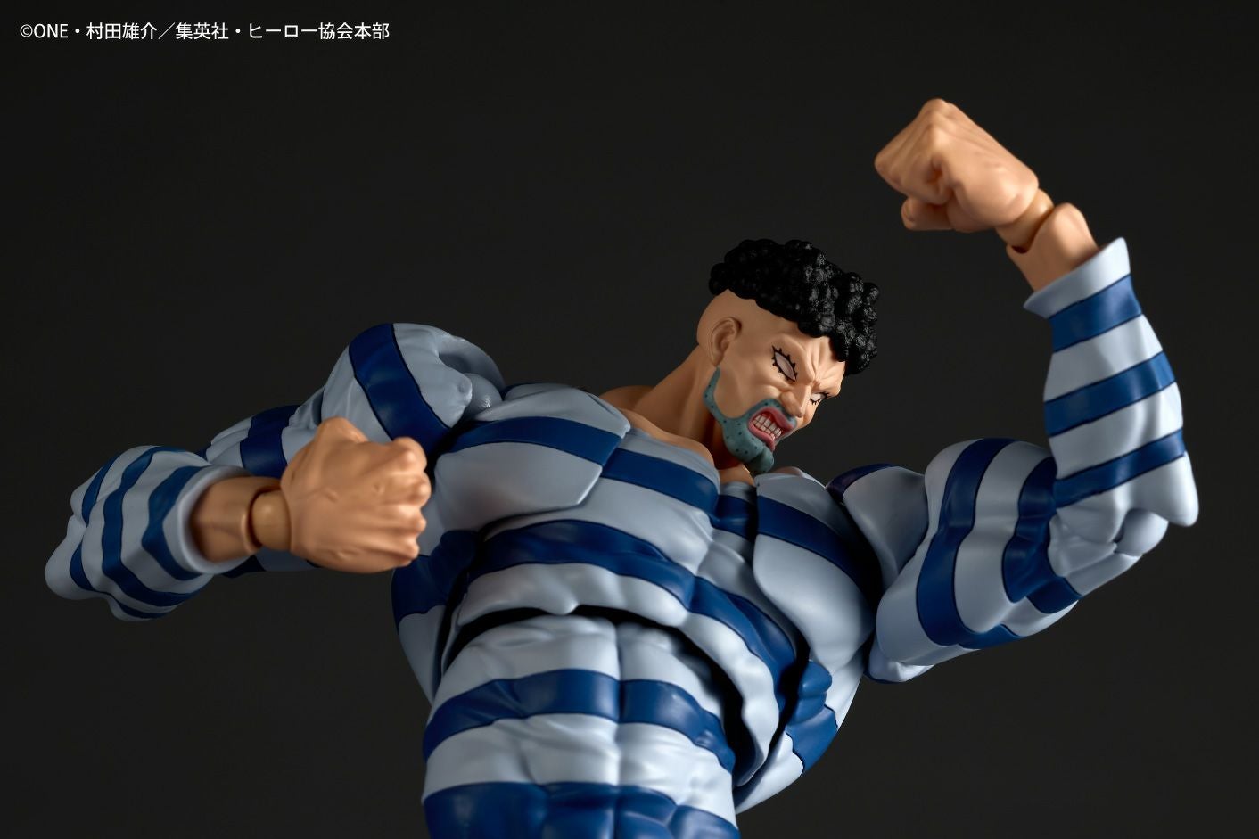 Revoltech Amazing Yamaguchi 囚犯索尼克
