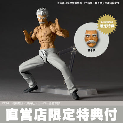 Revoltech Amazing Yamaguchi Silverfang