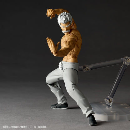 Revoltech Amazing Yamaguchi Silverfang