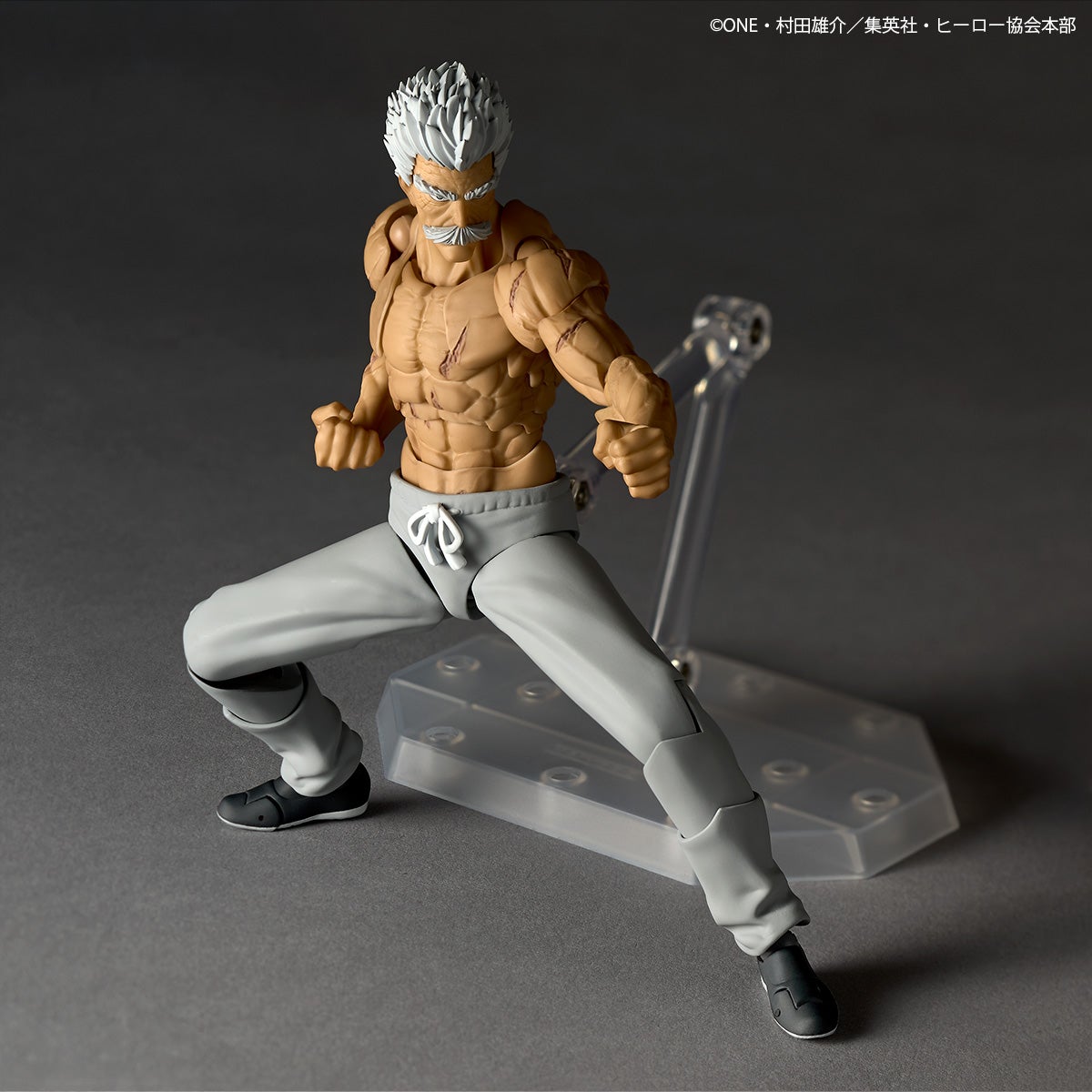 Revoltech Amazing Yamaguchi Silverfang