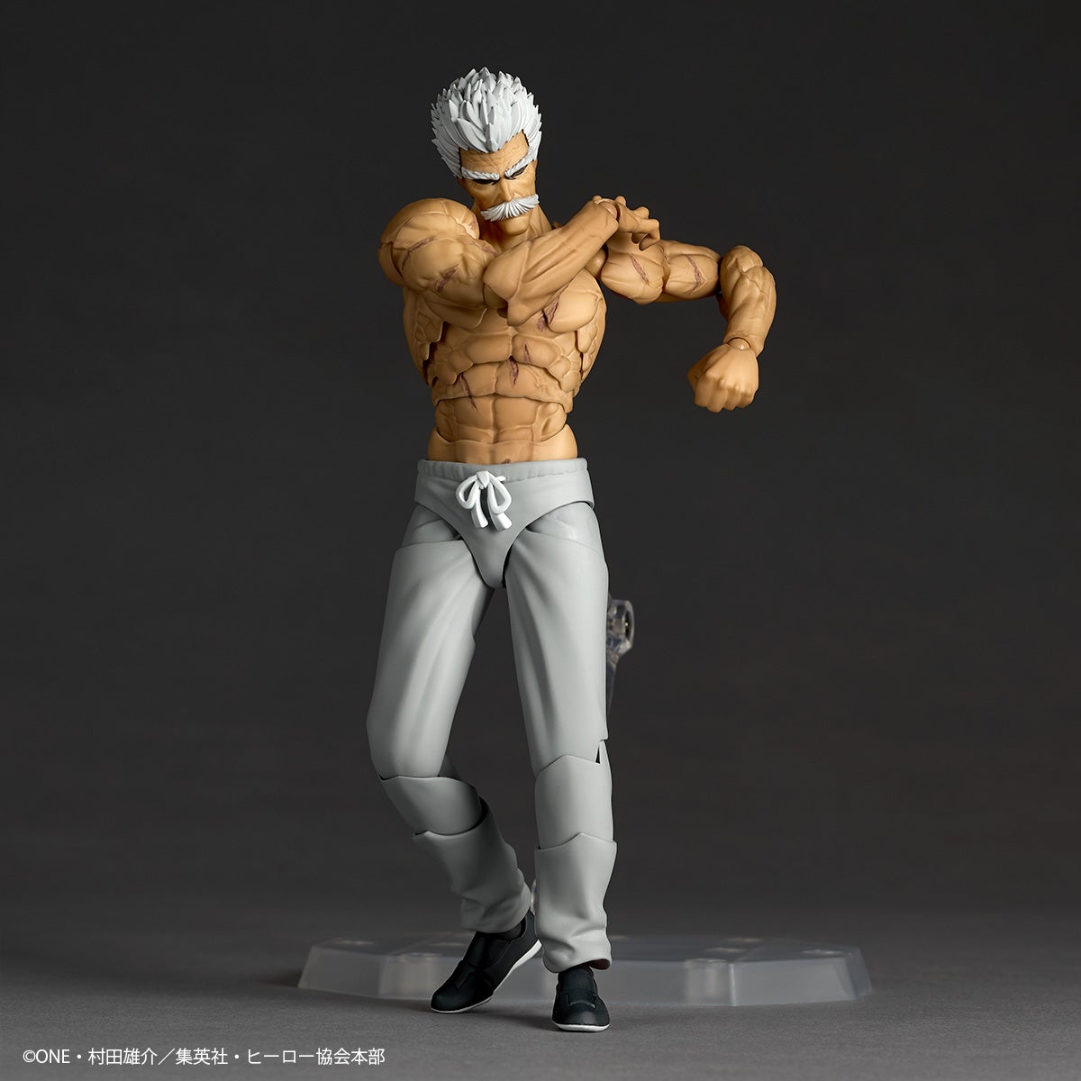 Revoltech Amazing Yamaguchi Silverfang
