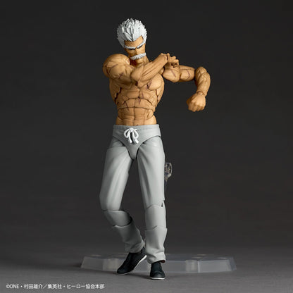Revoltech Amazing Yamaguchi Silverfang