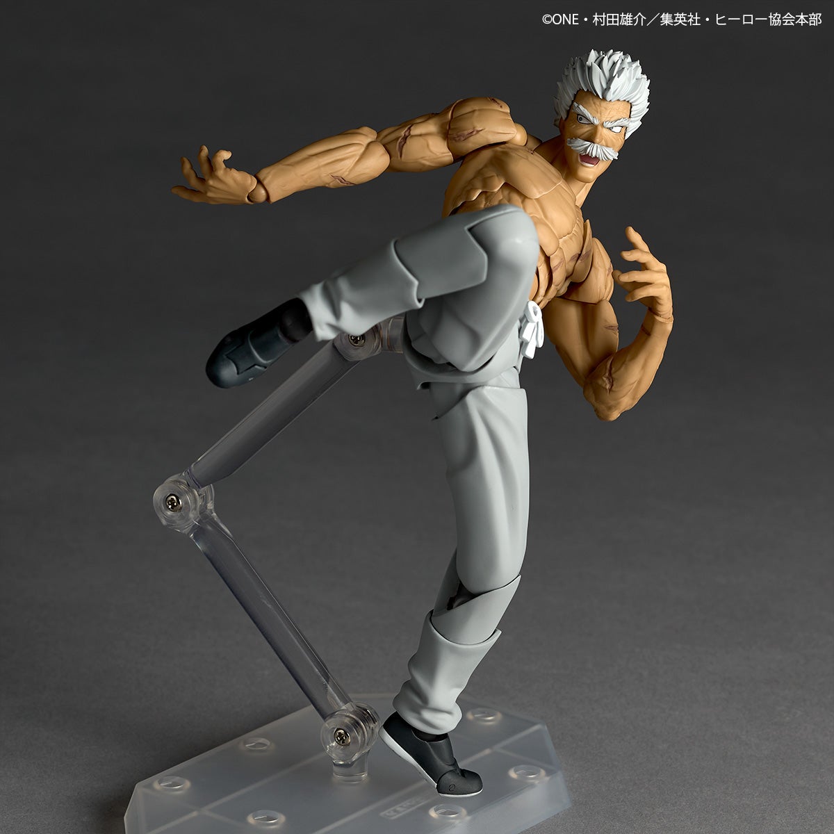 Revoltech Amazing Yamaguchi Silverfang