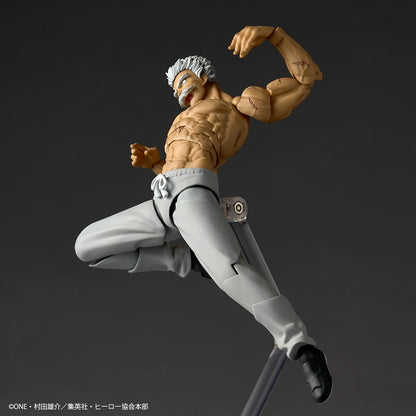 Revoltech Amazing Yamaguchi Silverfang