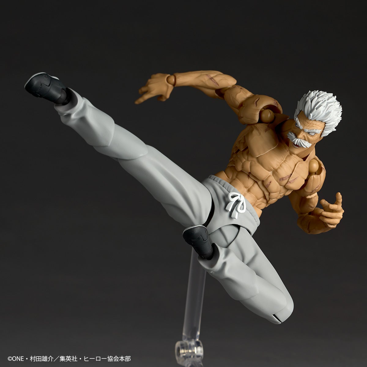 Revoltech Amazing Yamaguchi Silverfang