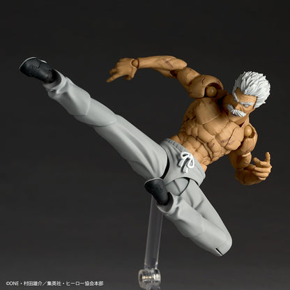 Revoltech Amazing Yamaguchi Silverfang