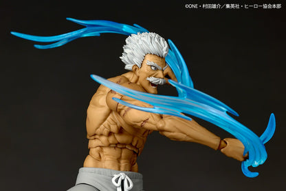 Revoltech Amazing Yamaguchi Silverfang