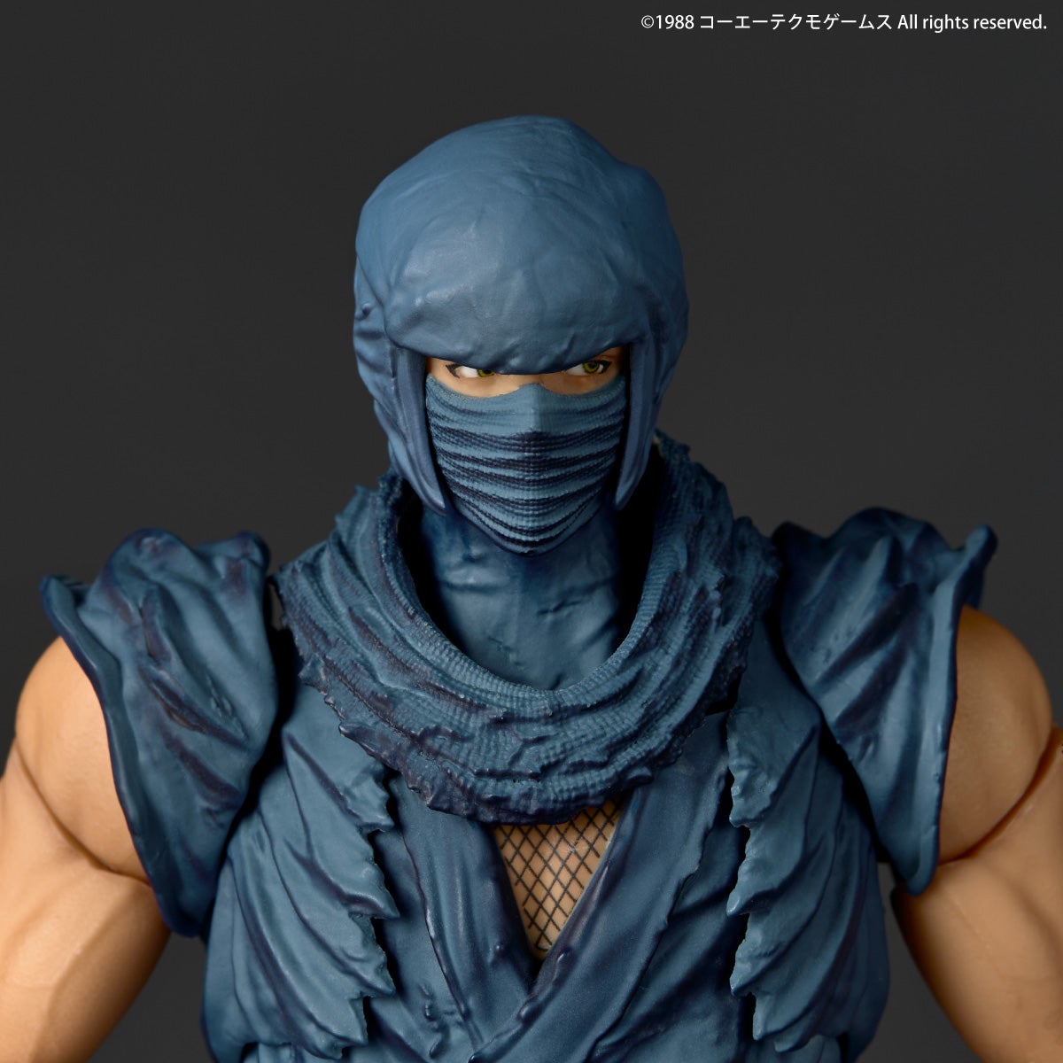 Revoltech Amazing Yamaguchi 隼龍 "NINJA GAIDEN" Ver.