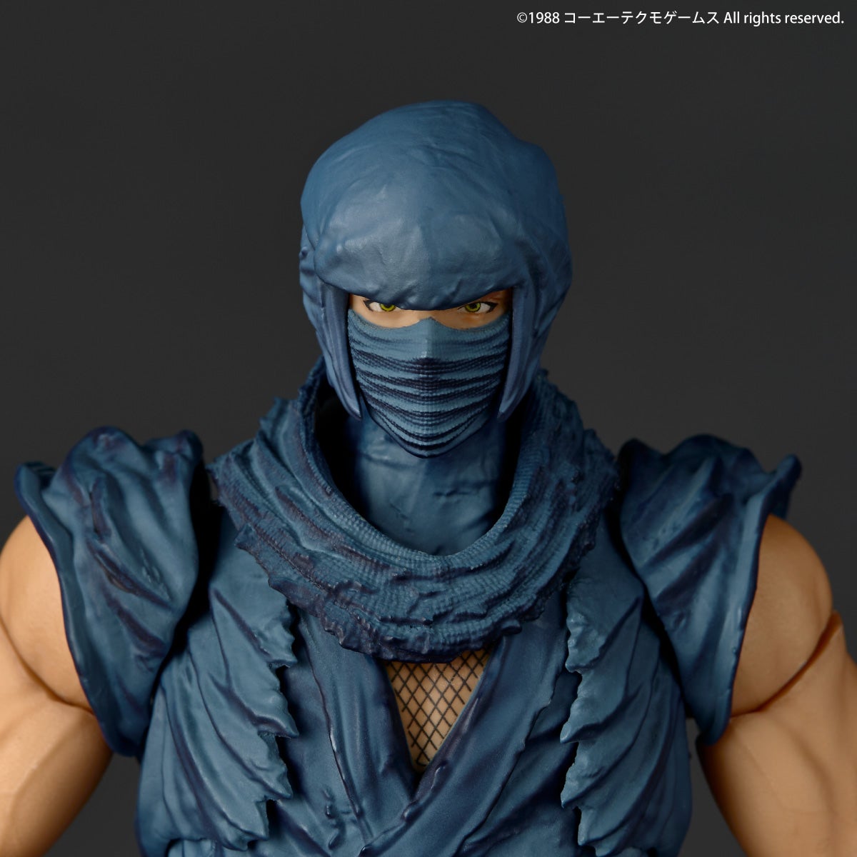 Revoltech Amazing Yamaguchi 隼龍 "NINJA GAIDEN" Ver.