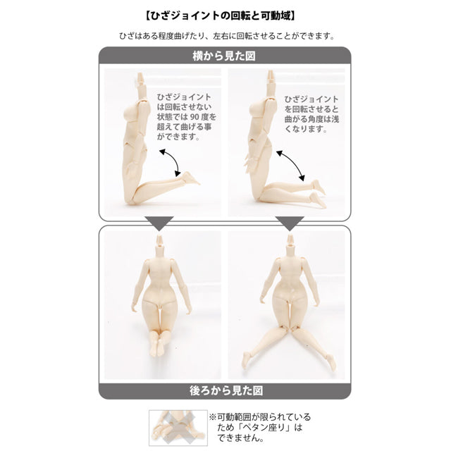 AZONE Q’z BODY S / I Bust