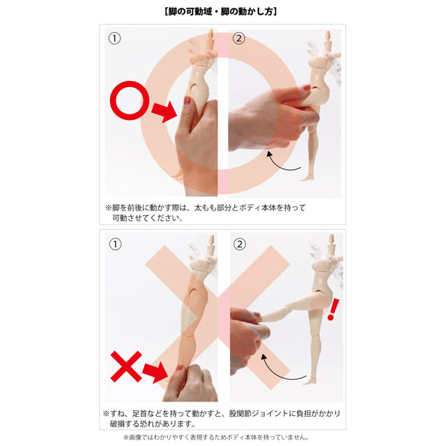 AZONE Q’z BODY M / I Bust