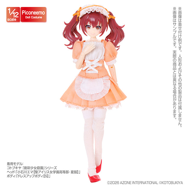 1/12 Picco Neemo R TYPE-M Maid Outfit Set