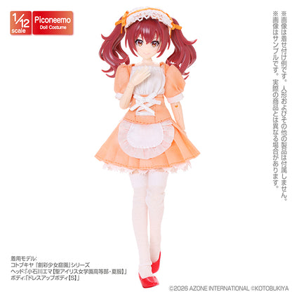1/12 Picco Neemo R TYPE-M Maid Outfit Set