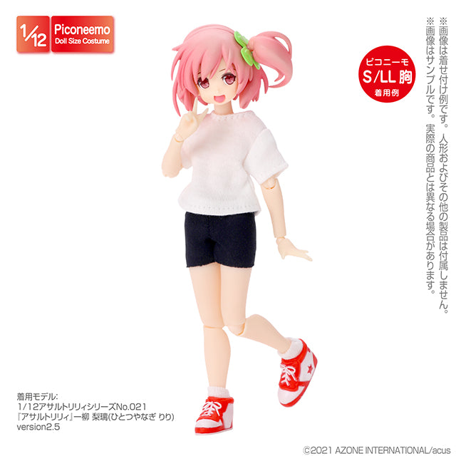 1/12 Low Socks Set