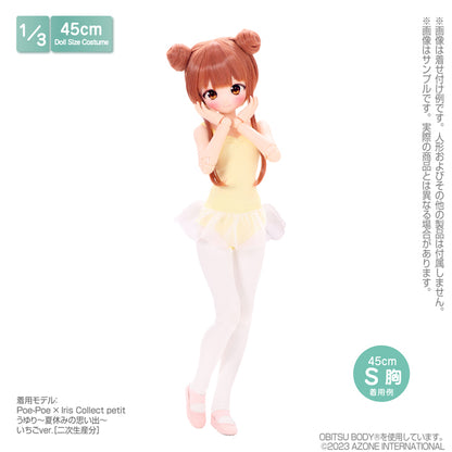 45 Ballet Lesson Set