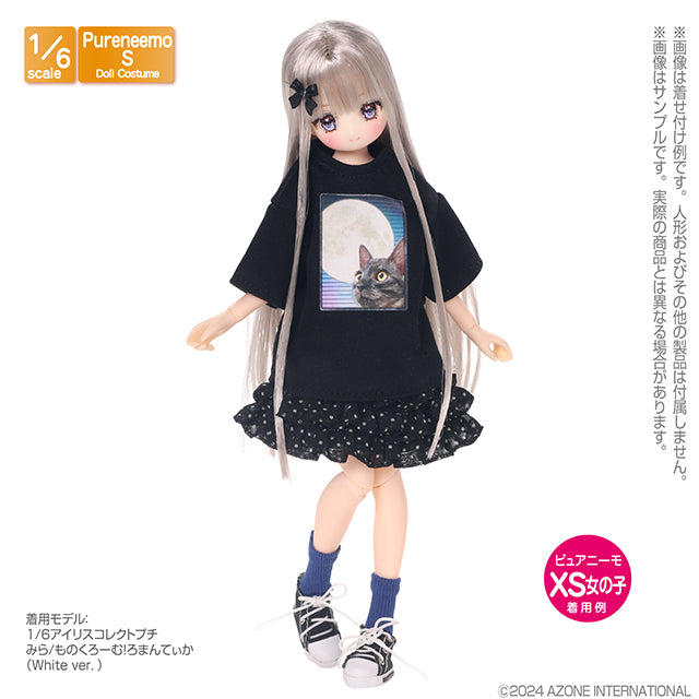 PNS 船員襪C套