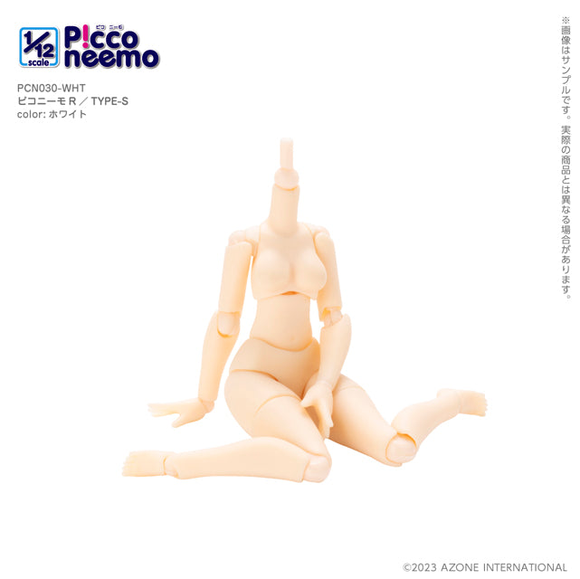 1/12 Picco Neemo R TYPE-S