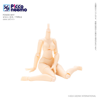 1/12 Picco Neemo R TYPE-S