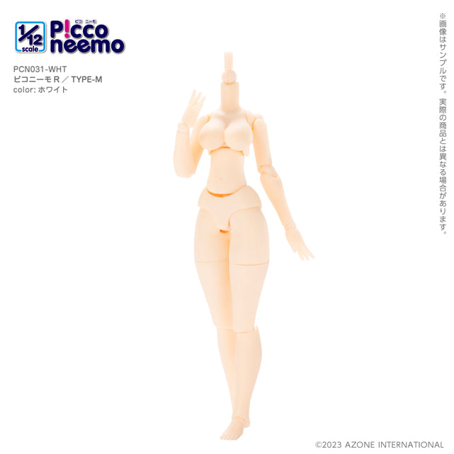 1/12 Picco Neemo R TYPE-M