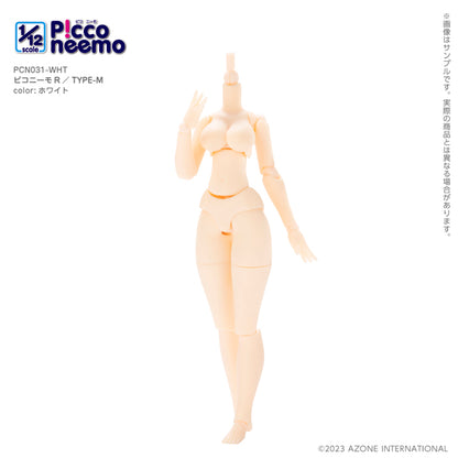 1/12 Picco Neemo R TYPE-M