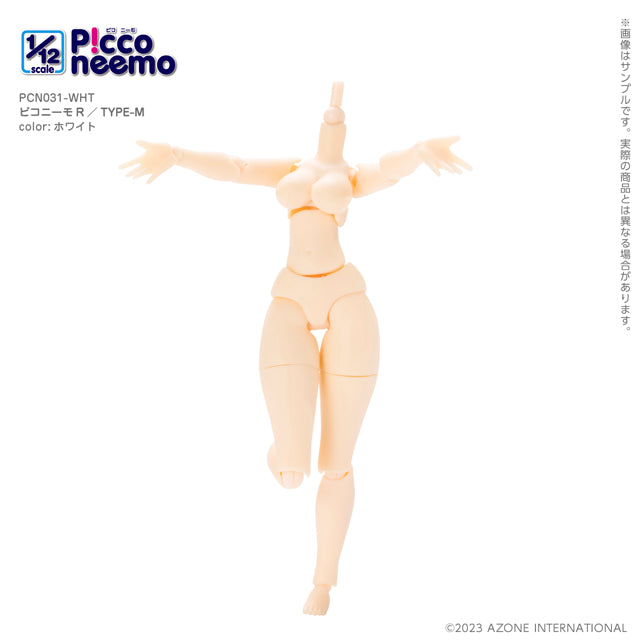 1/12 Picco Neemo R TYPE-M