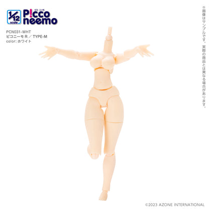 1/12 Picco Neemo R TYPE-M