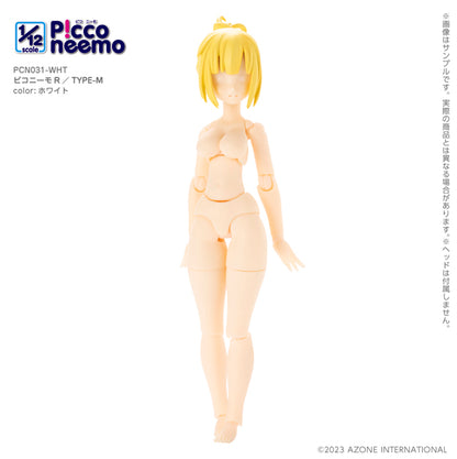 1/12 Picco Neemo R TYPE-M